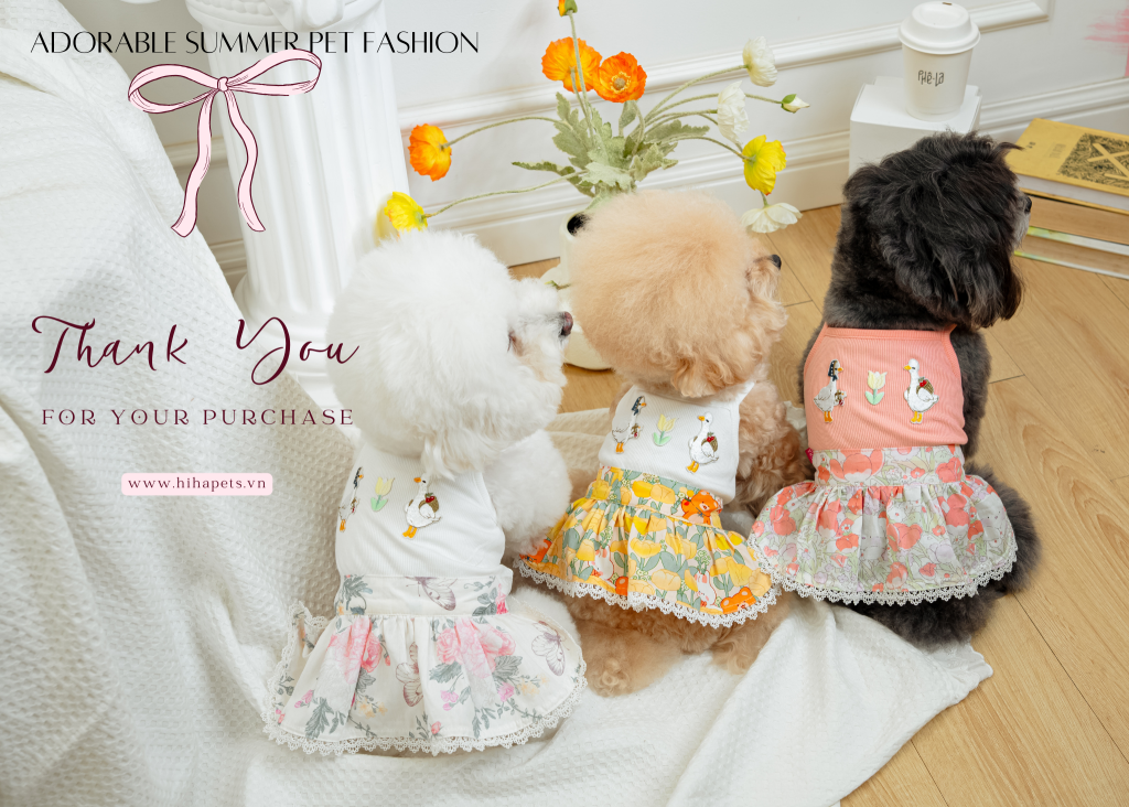 Sự kiện giảm 10% 8.8.2024 1 7 3