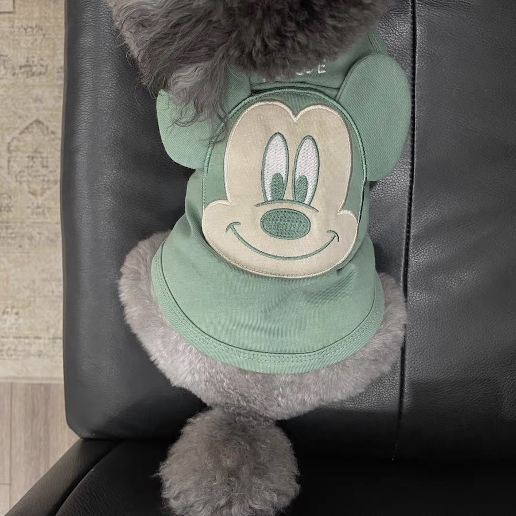 Áo thun Mickey Hiha Pets – Xanh Lá 3 IMG 0849