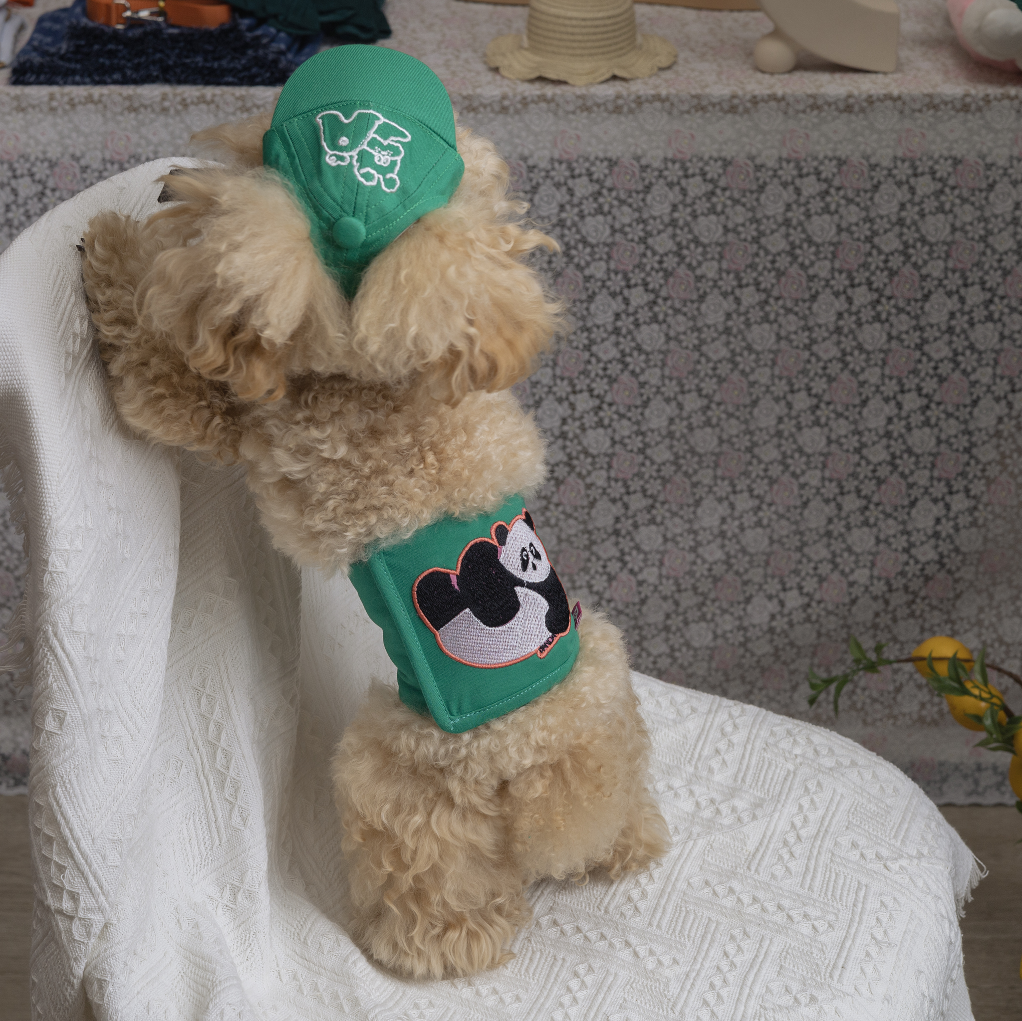 Bĩm Tã Vải Panda Cho Cún Đực Hiha Pets 8 IMG 1168 copy