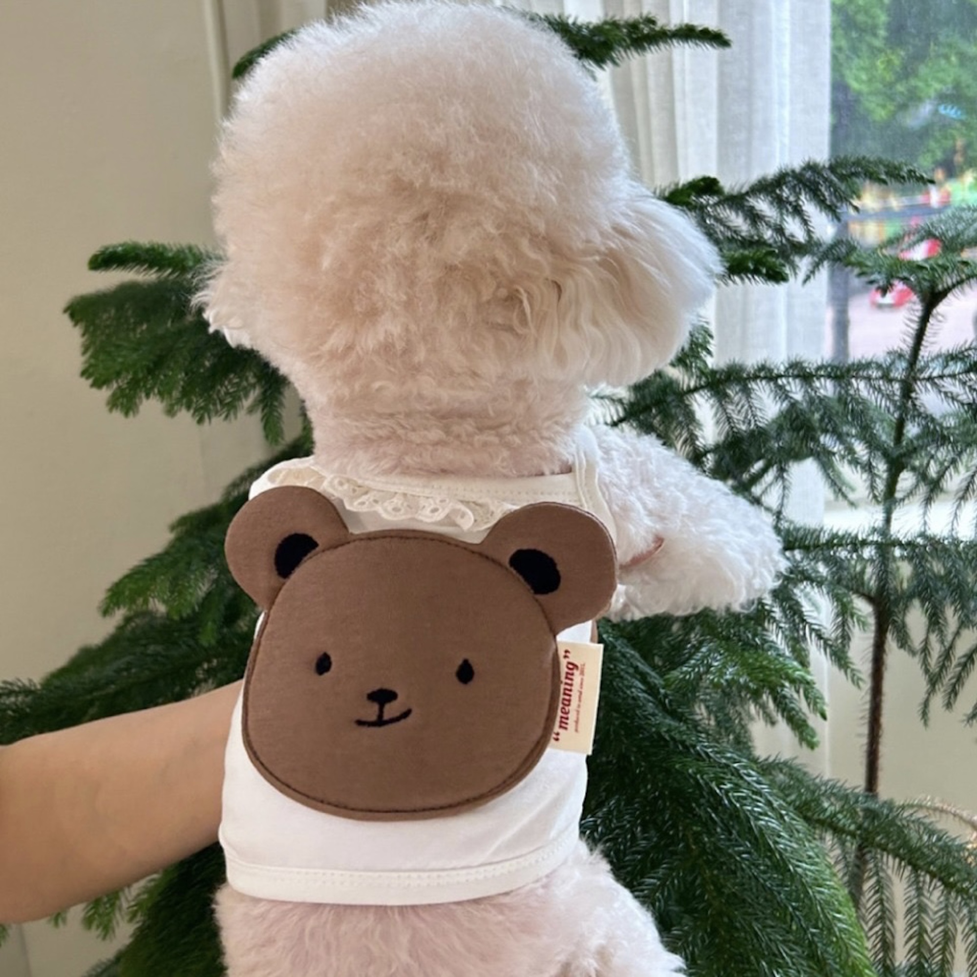 Áo Gấu Gosomi Hai Dây Hiha Pets 5 IMG 6077