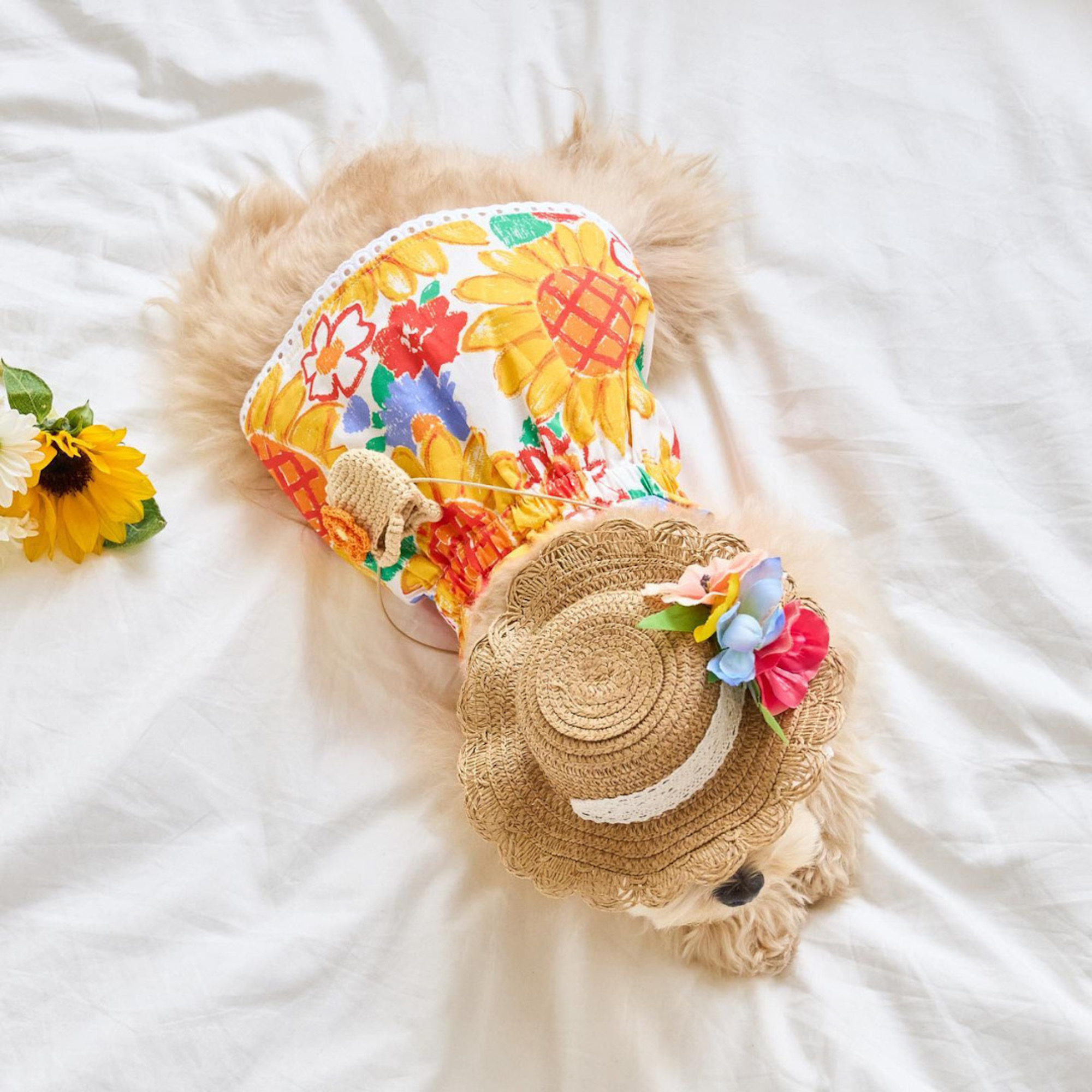 Túi Đeo Chéo Len Hoa Hiha Pets 3 IMG 6251