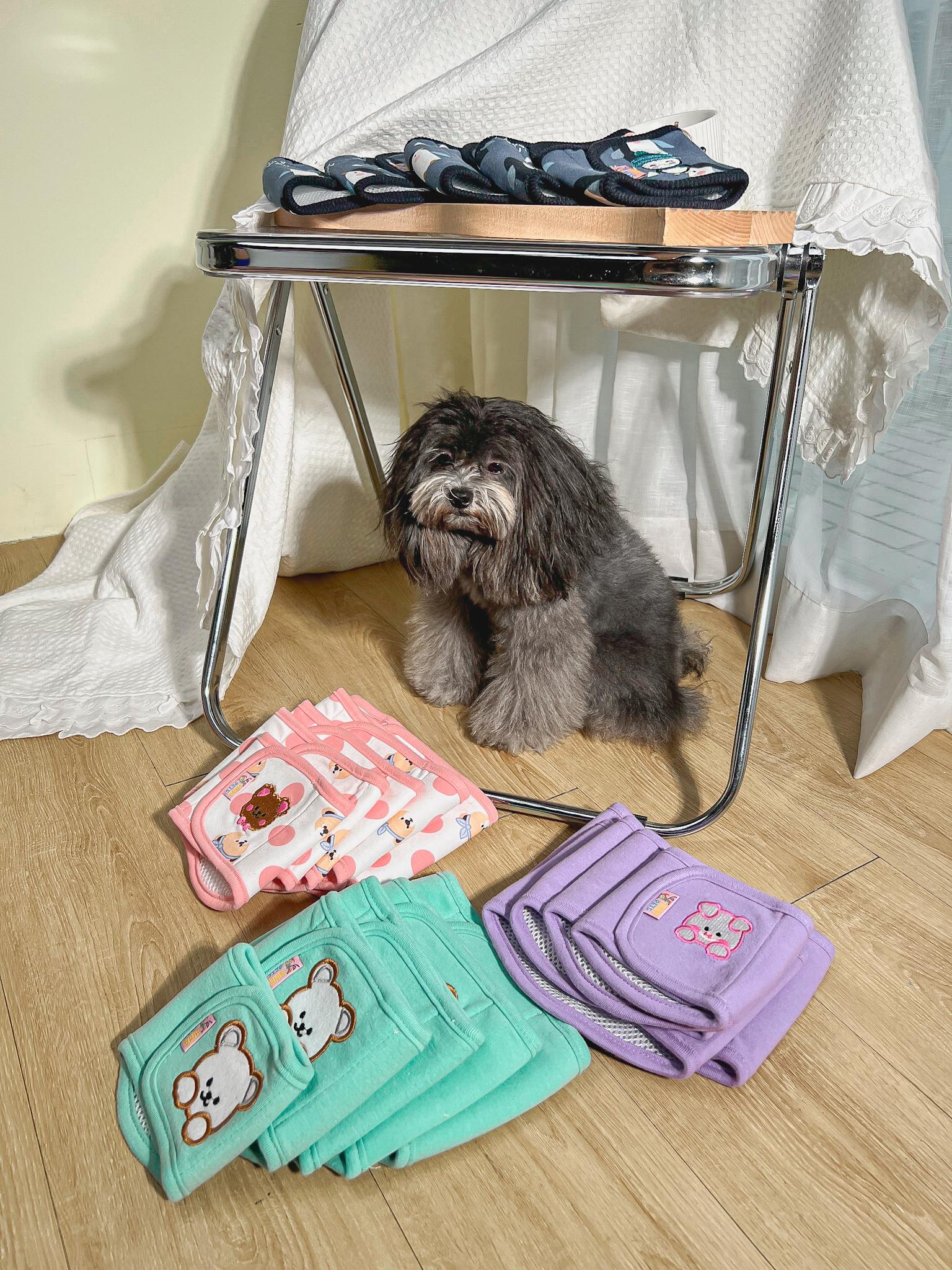 Bĩm Tã Vải Thêu Cho Cún Đực Hiha Pets 9 IMG 6794