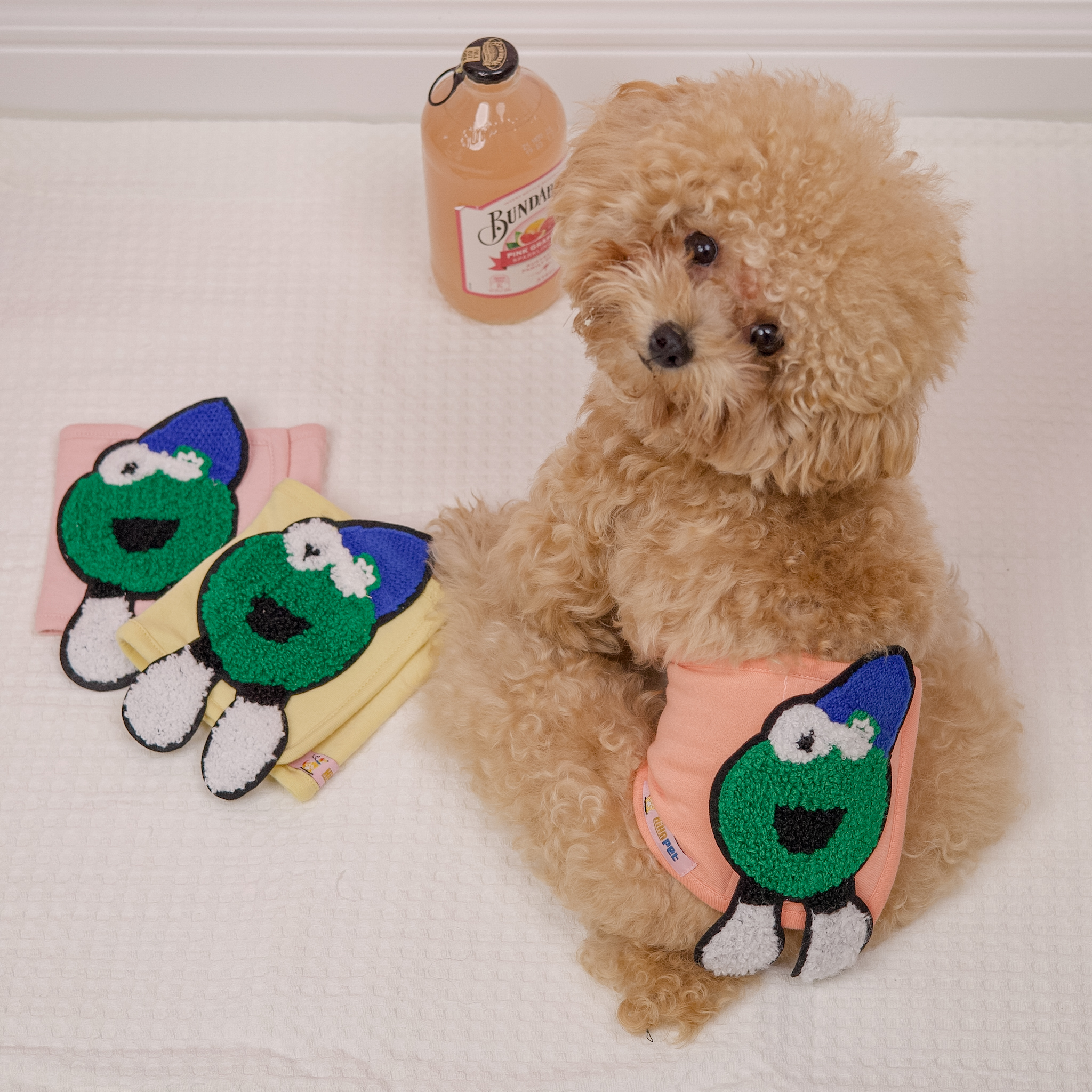 Bĩm Tã Vải Khủng Long Cho Cún Đực Hiha Pets 5 IMG 9468