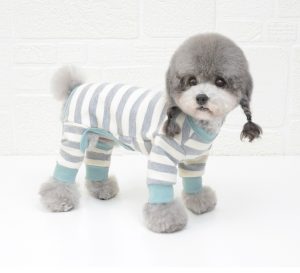 Jump Thun Sọc Hiha Pets - Xanh 2 PT19060撞色脚口四脚衣 01