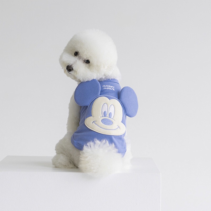 z5636034127134_0789d531d33793331deaaaf869cda23e