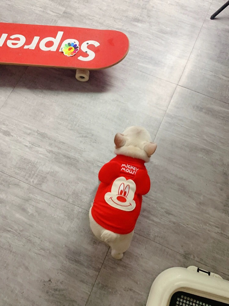 z5636034174729_dbbc5d238fad716afc7c3f4eff0b527f