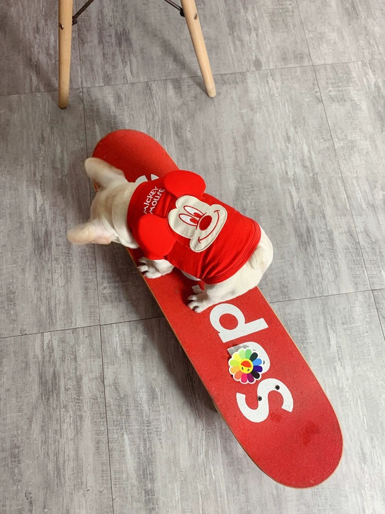 z5636034225684_6b4144e3d3fb2a0d5924d408275260fe (1)