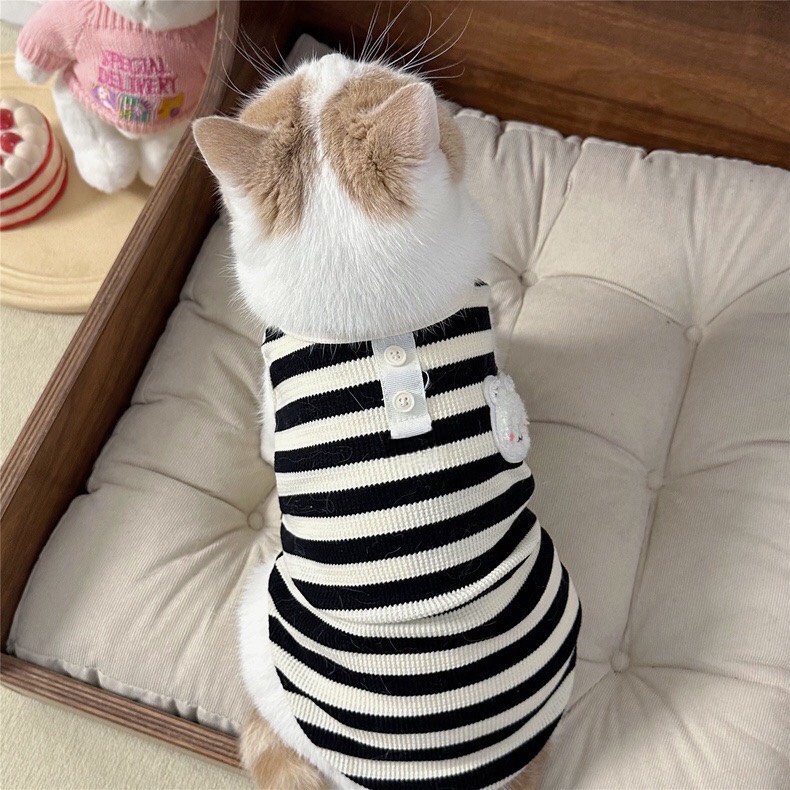 z5646802802711_a1fd762f3c95fbc2fc3d71cbbe6c2e08