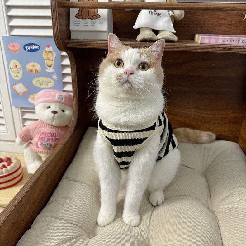 z5646802816039_c12d8a8ecd4e2d3cfca52670a9688f0f