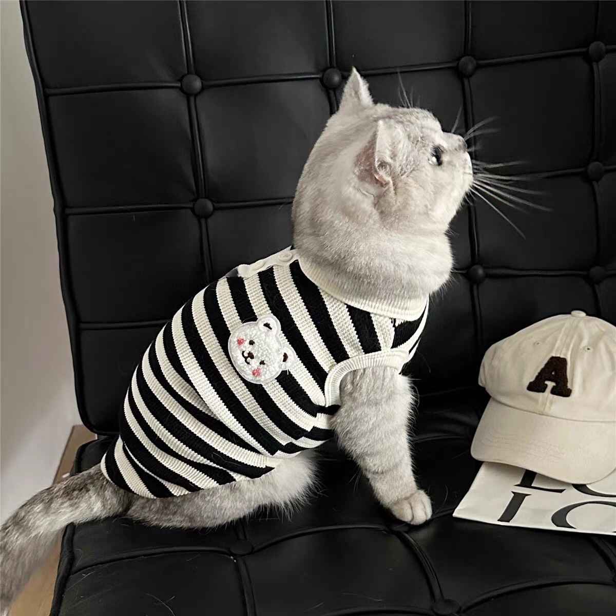 z5646802825033 956fd0d592a76b5be4cd674a197aeb7f