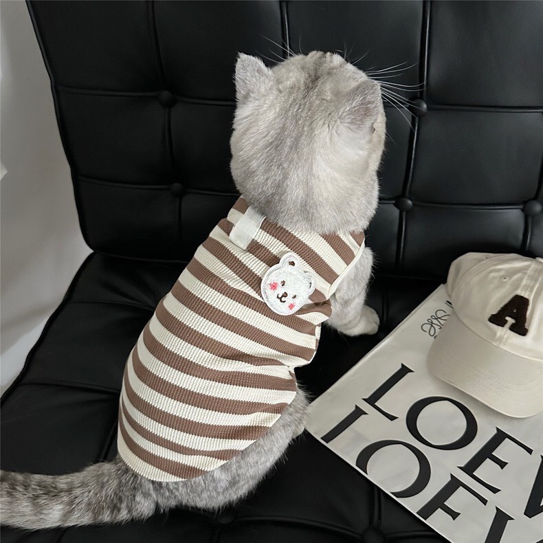 z5646802835700_a706265fa42fab0d6c8d213b5751e685