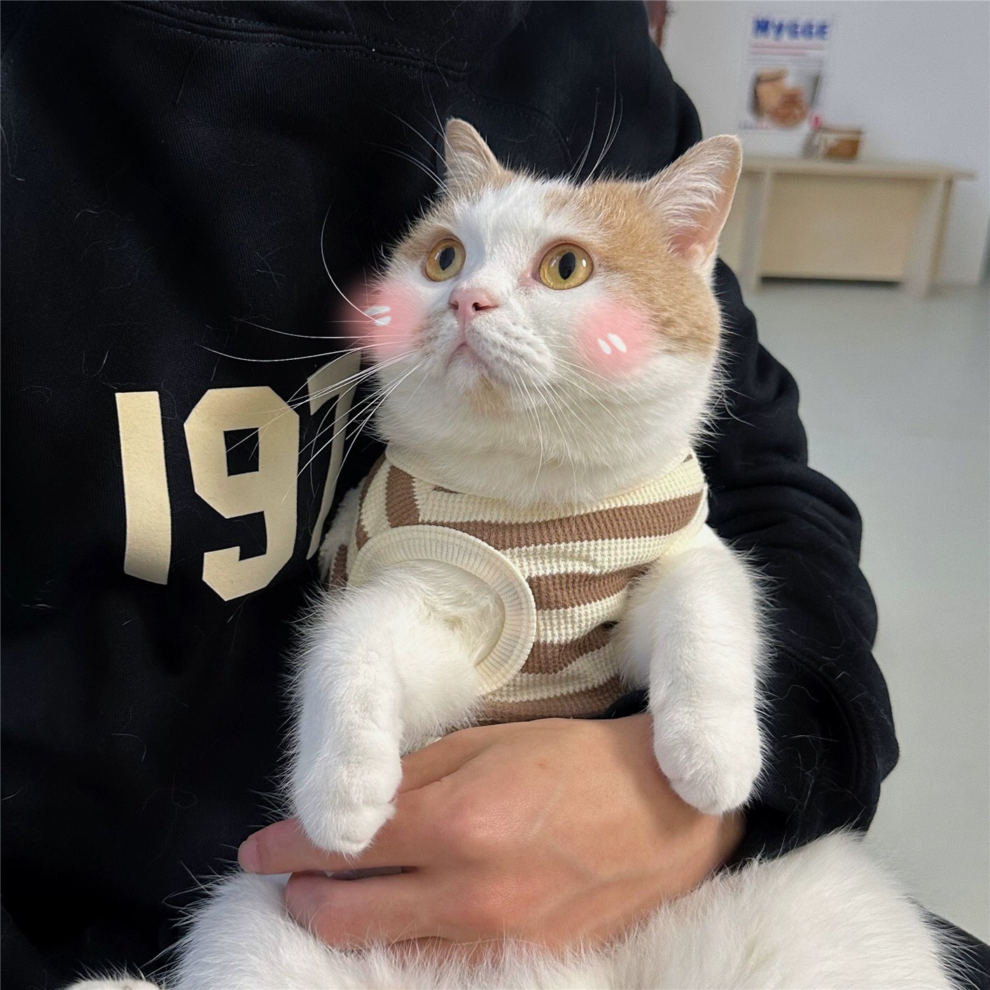 z5646802840716_aa1b29afe180099731d4045858cf096e