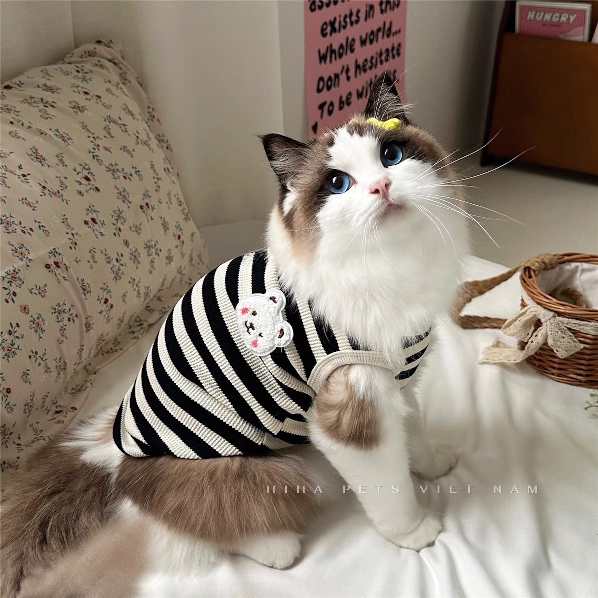 z5646802848074 a863ac9b16f1a15b9792aa1bebfdeeb1