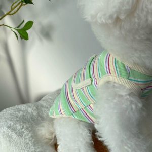 Áo Thun Sọc Túi Hiha Pets - Xanh 5 z5646845332344 78f86695353af15283af1eb815591149