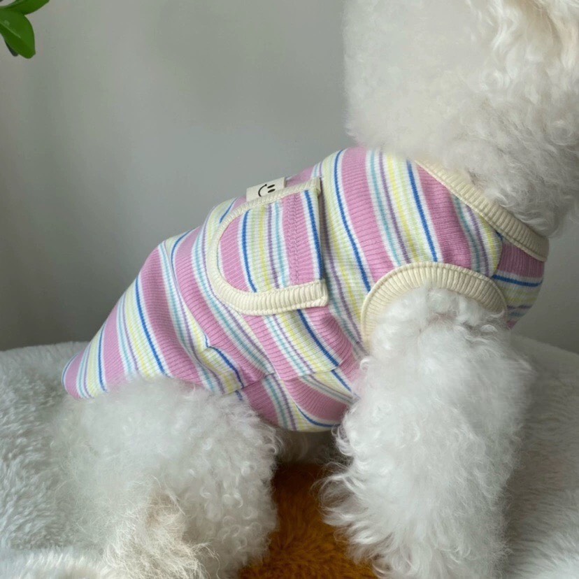 z5646845342055_ef5cca03470085b5618aedce3d5c2417