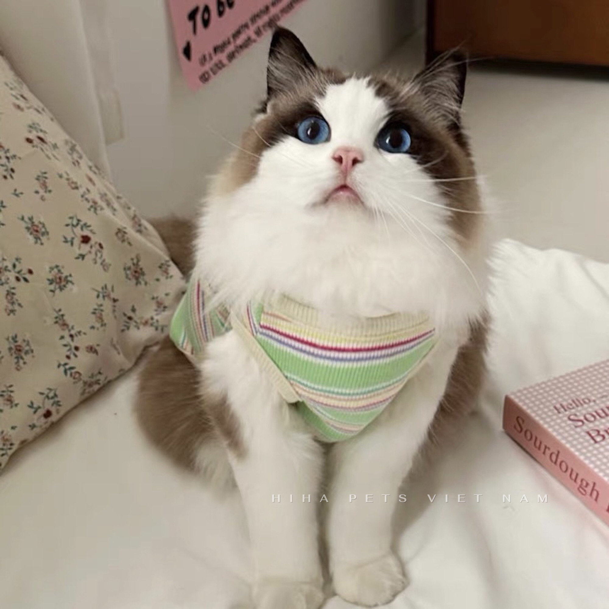 z5646845361127_044f4e896d25904f35c4558aeb06b727