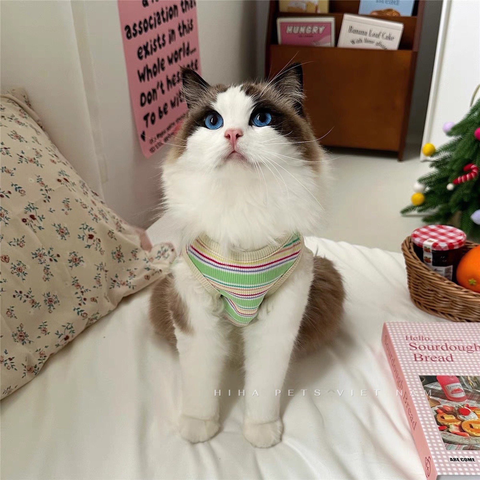 z5646845374258_3bfb00a4d0cca39d64bf25cb56b636f1