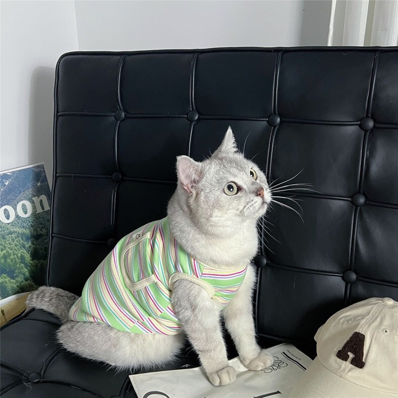 z5646845385367_d7dba886f14b54e0f434e4dccc0a2641