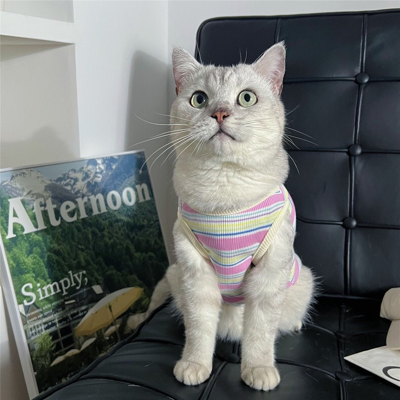 z5646845389315_2742e5ed6b5e5f4d58f166b0f42b7a2a