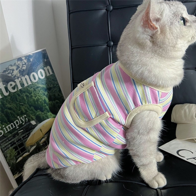 z5646845391012_fcc57b34feace42fdc94e998ad2fcc20