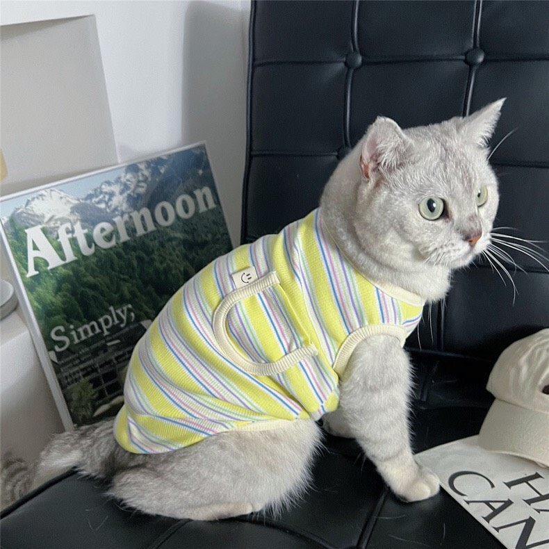 z5646845402706_0b6054da339066471ff902b494297efe