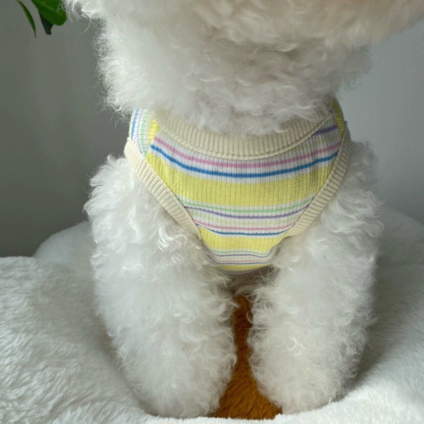 z5646845408958_2252397db9799313145ff4d4fe8cd298