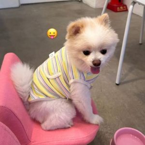 z5646846114238 d9d7c6125ee1a5ecbb3a42047013e9a1