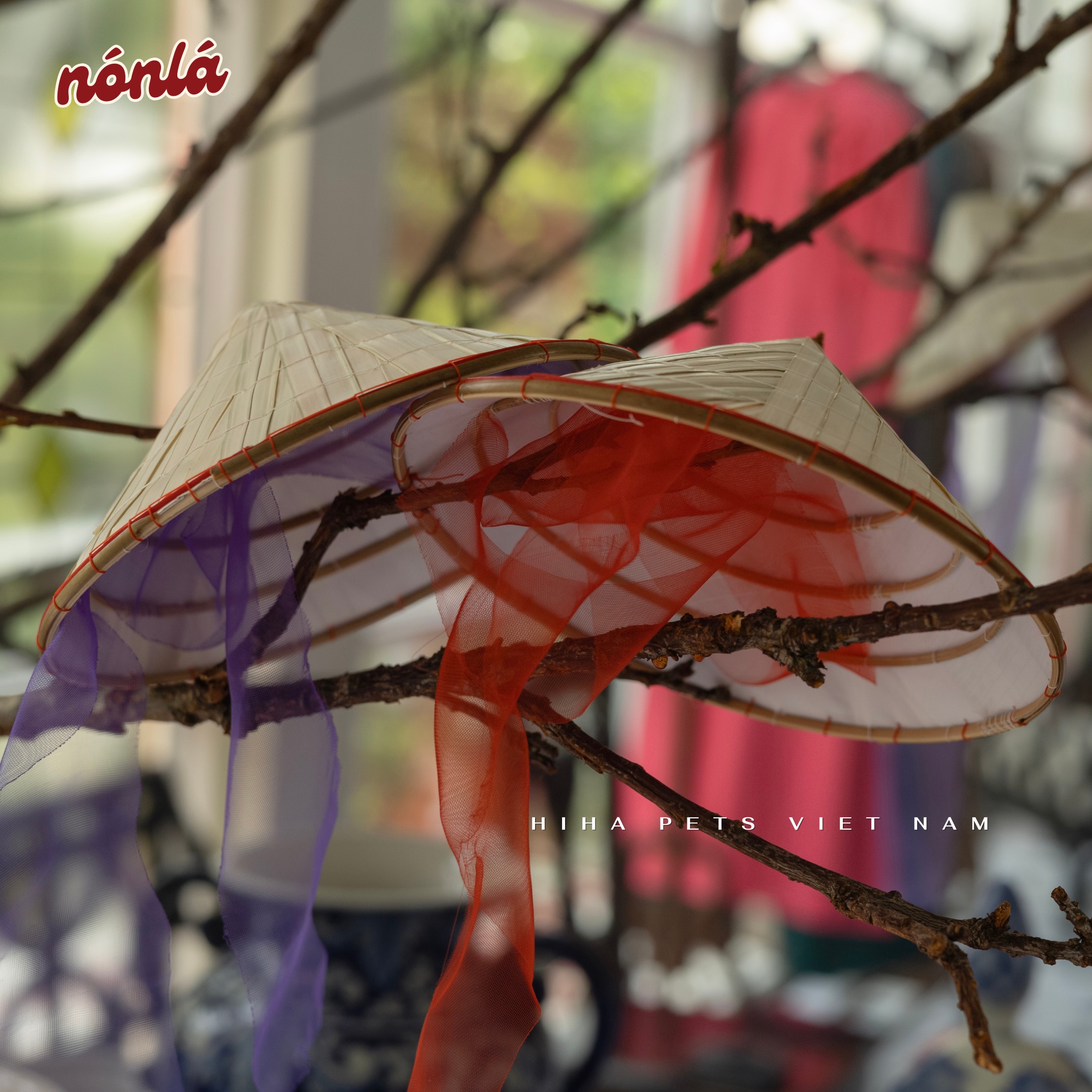 z5655565173109_7dc28282f8e9e8124588eeb06e0a8fcd