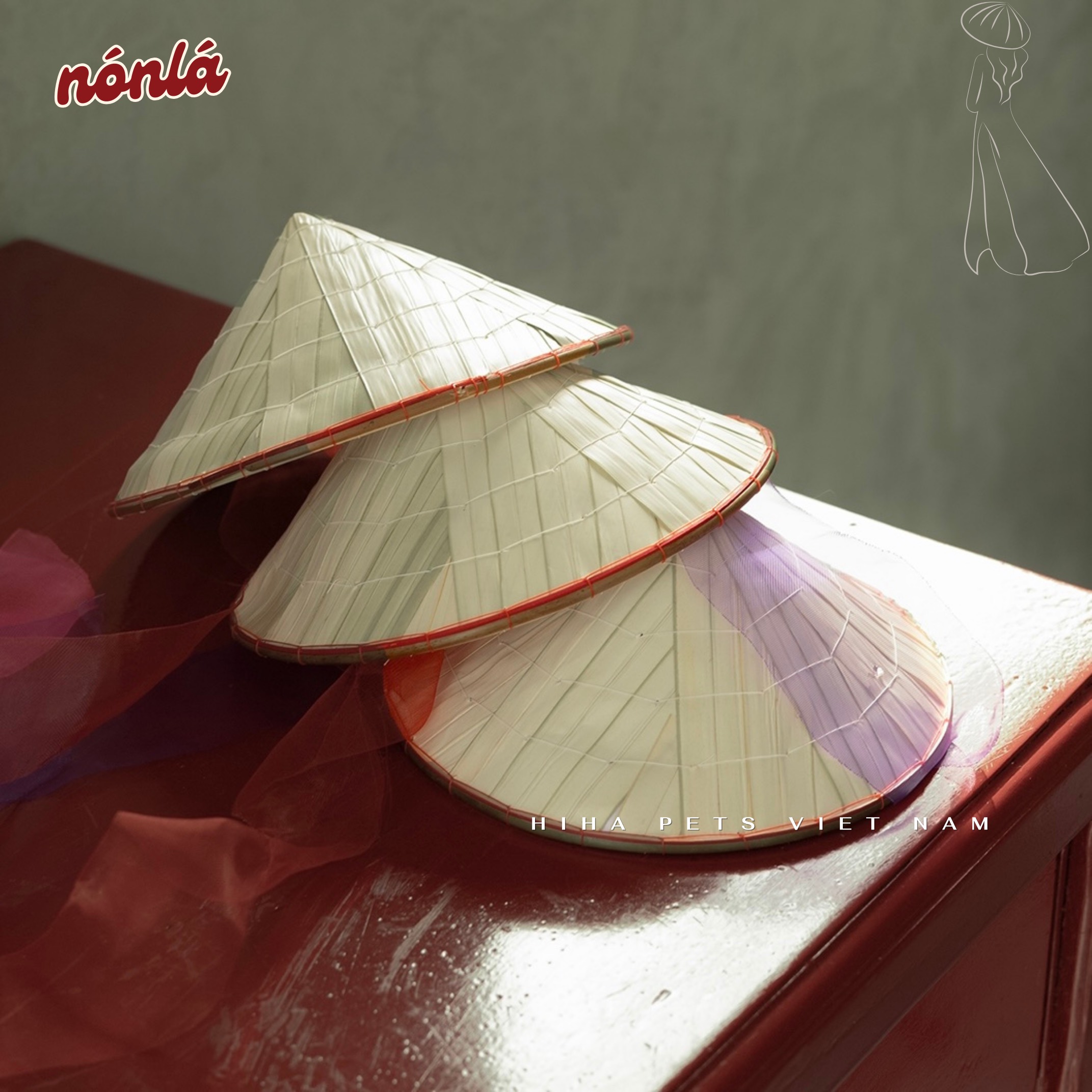 z5655565173299_d468123383a3f2a9dd67f0c631b74668