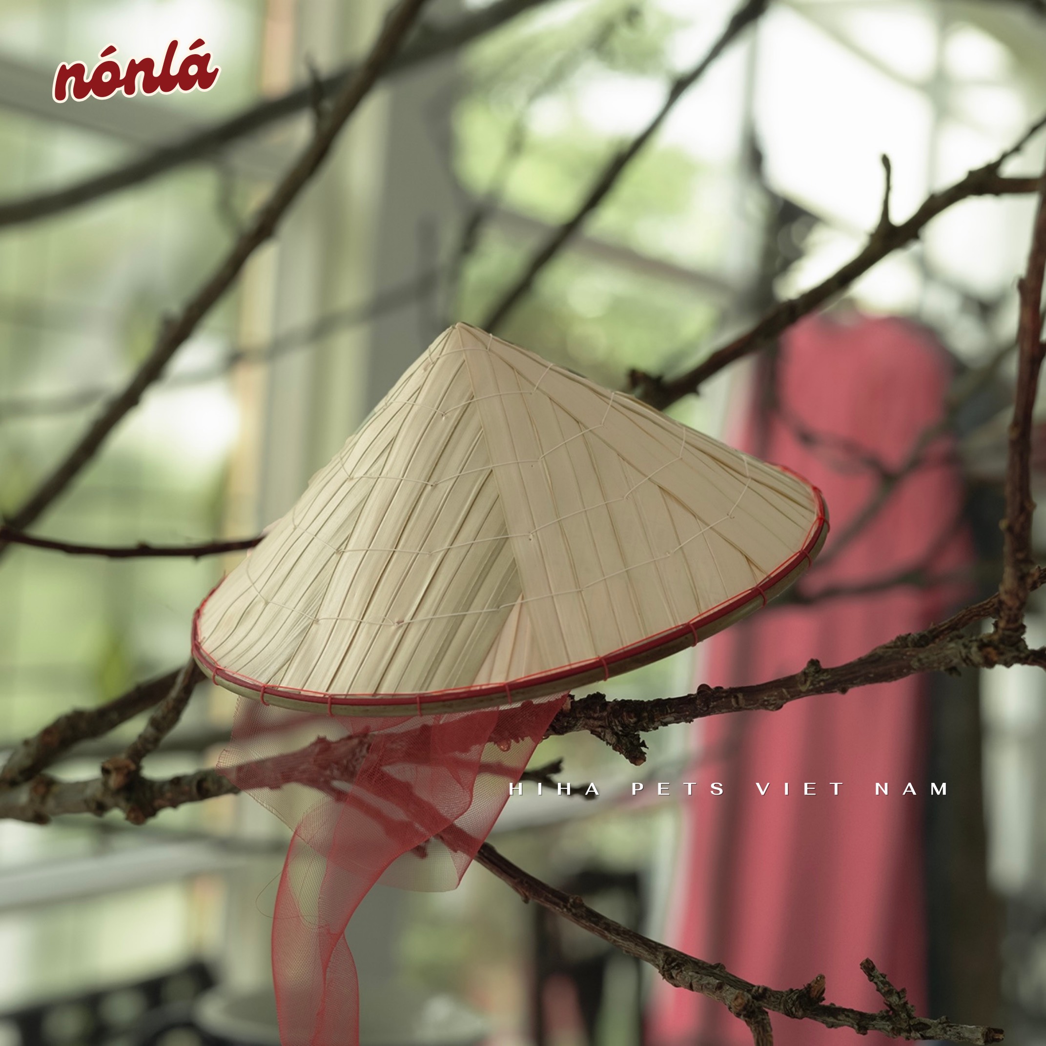 z5655565174841_b4c77572e9fc38c1de3fe76e1f89a867