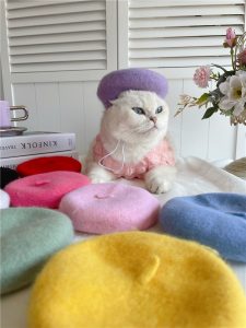 Nón Bánh Tiêu Họa Sĩ Hiha Pets 4 z5655576589183 a7887461c61ef23a053298e3c2532762