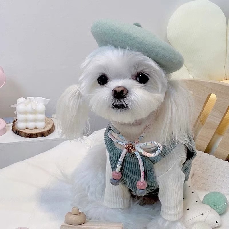 z5655576595691_32cfb0d6e6db6b12679dd8da85ccfc5f