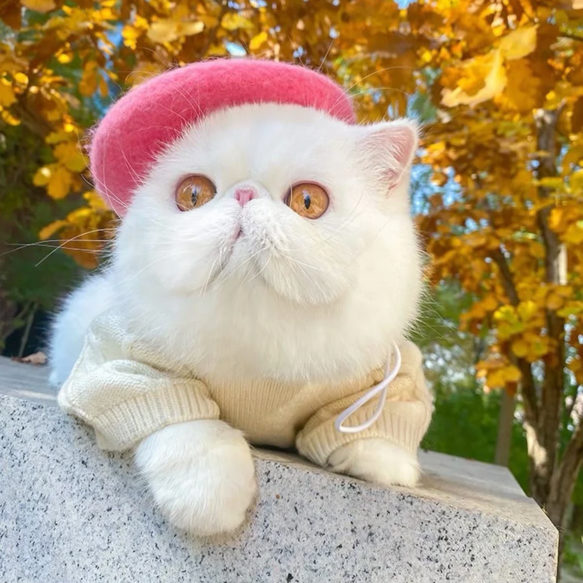 z5655576596784_f45058d6919cc1ecc3b9da4f2cb1ba8a