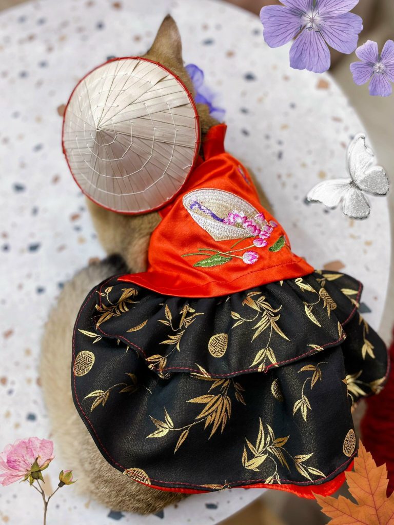 Nón Lá Việt Nam Hiha Pets 6 z5655581082575 dcf1153d4d14d8586021bf4dde2c847a