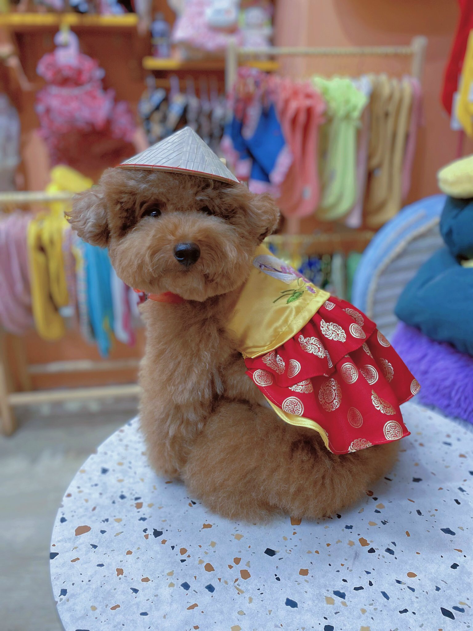 Nón Lá Việt Nam Hiha Pets 10 z5655581084616 8400696411d163126b3d35294b5e48ec