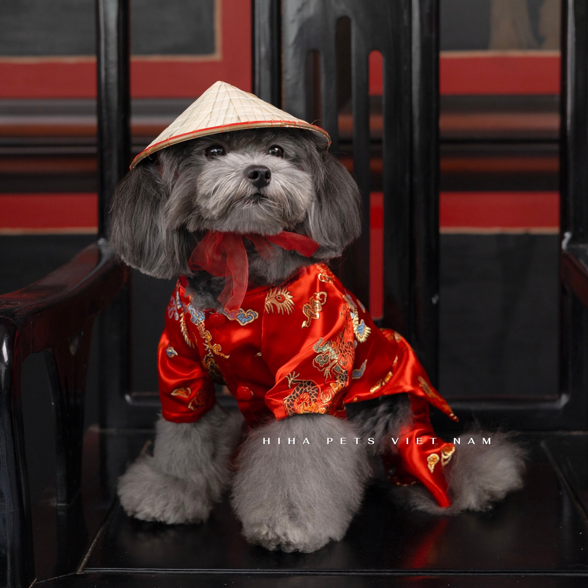 z5655581088269_db9323cf2fe10f7c4269332f8d0a2e59