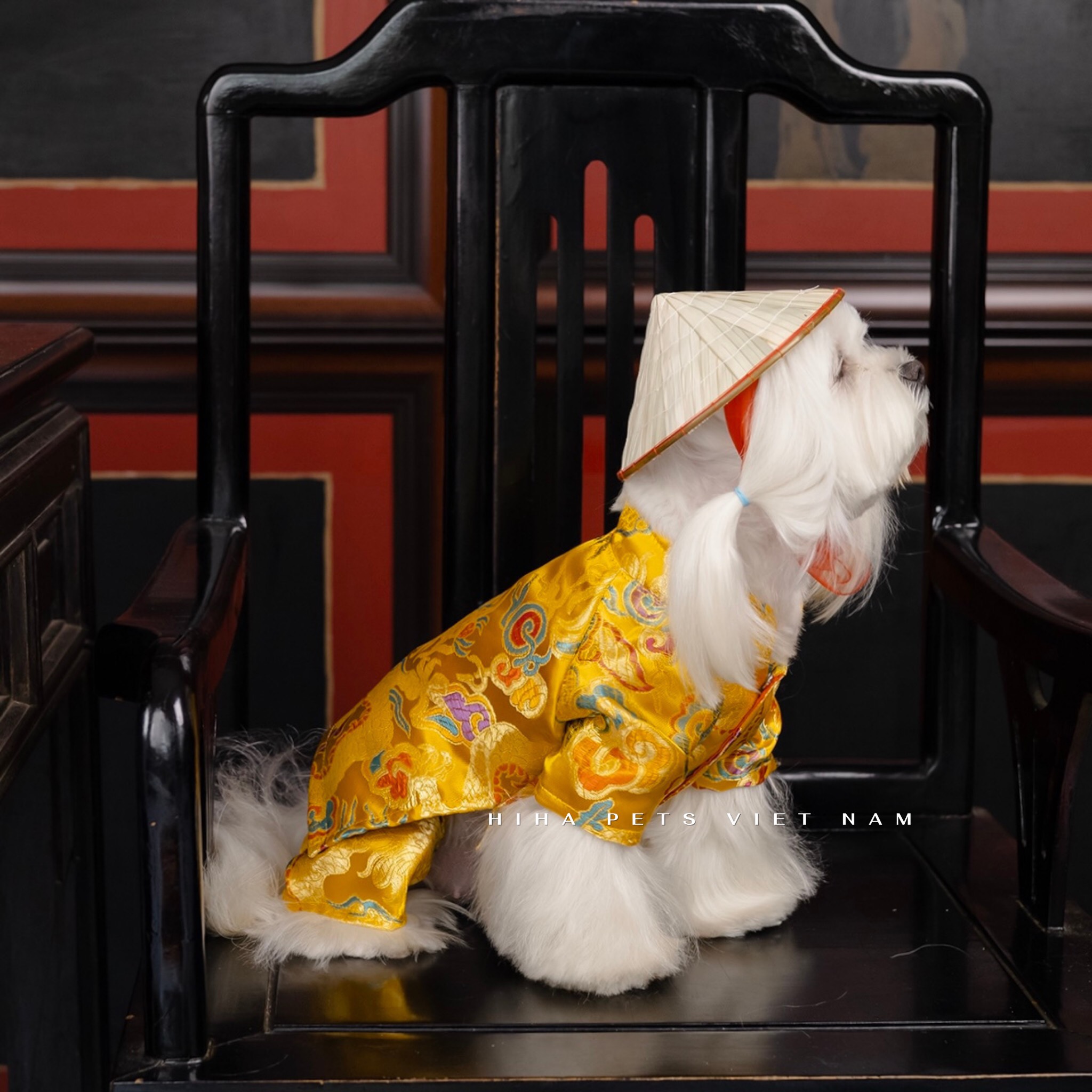 z5655581091926_5cd934ab63b7a54502803ab7e48c4467