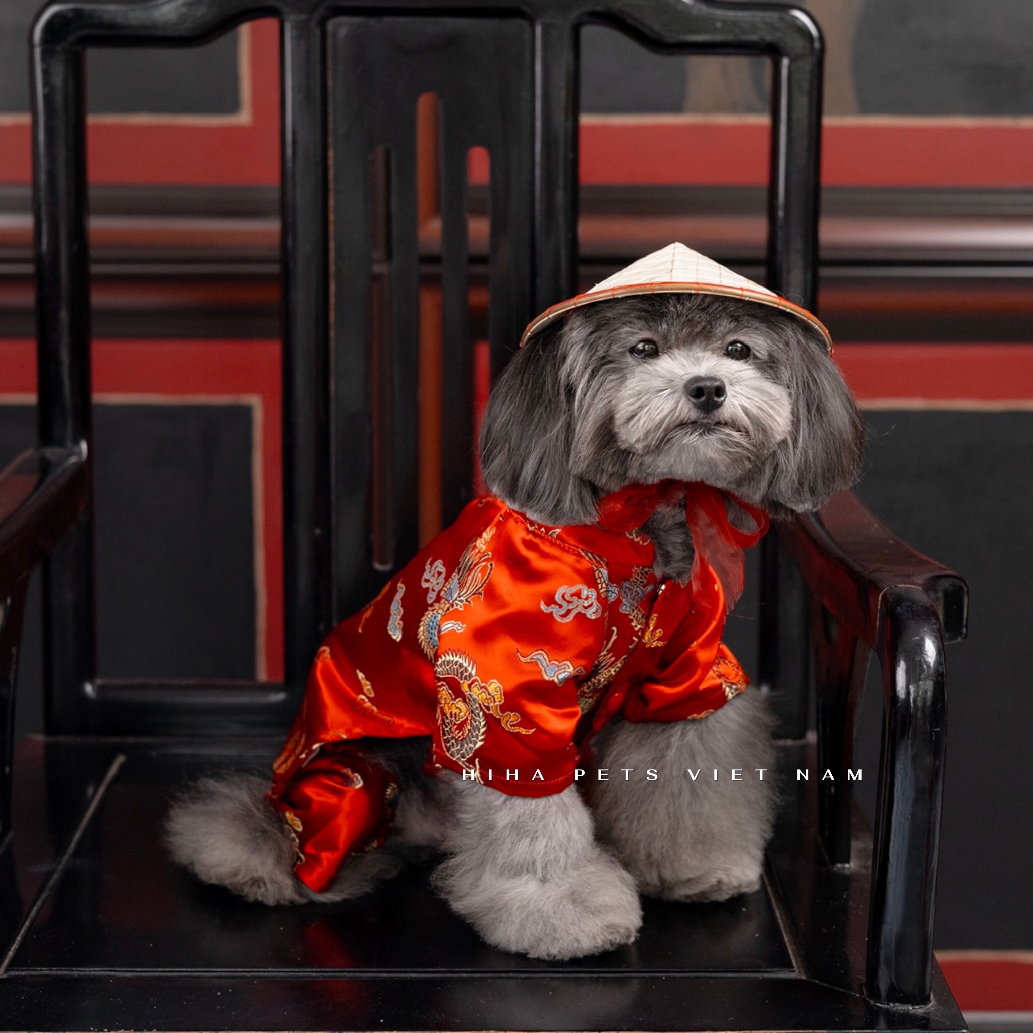 z5655581092472_a8ddf5b740e5529420048e3c5b737b02