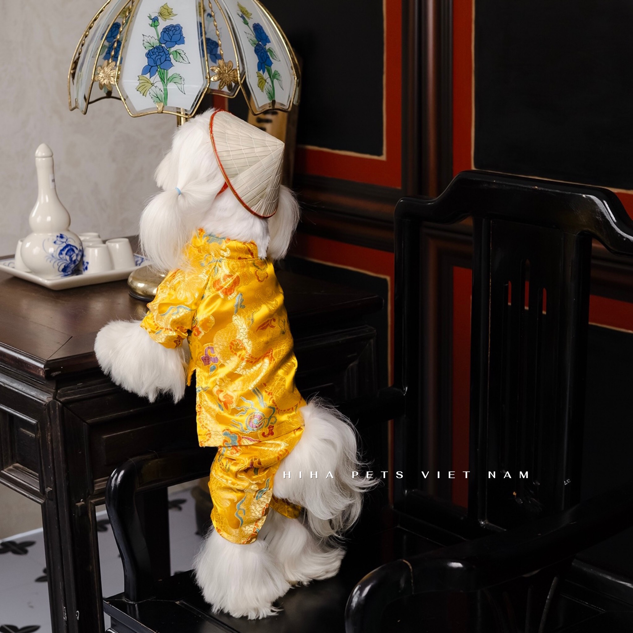 z5655581093806_00e97ed00f4df38728a9cc414aab2843