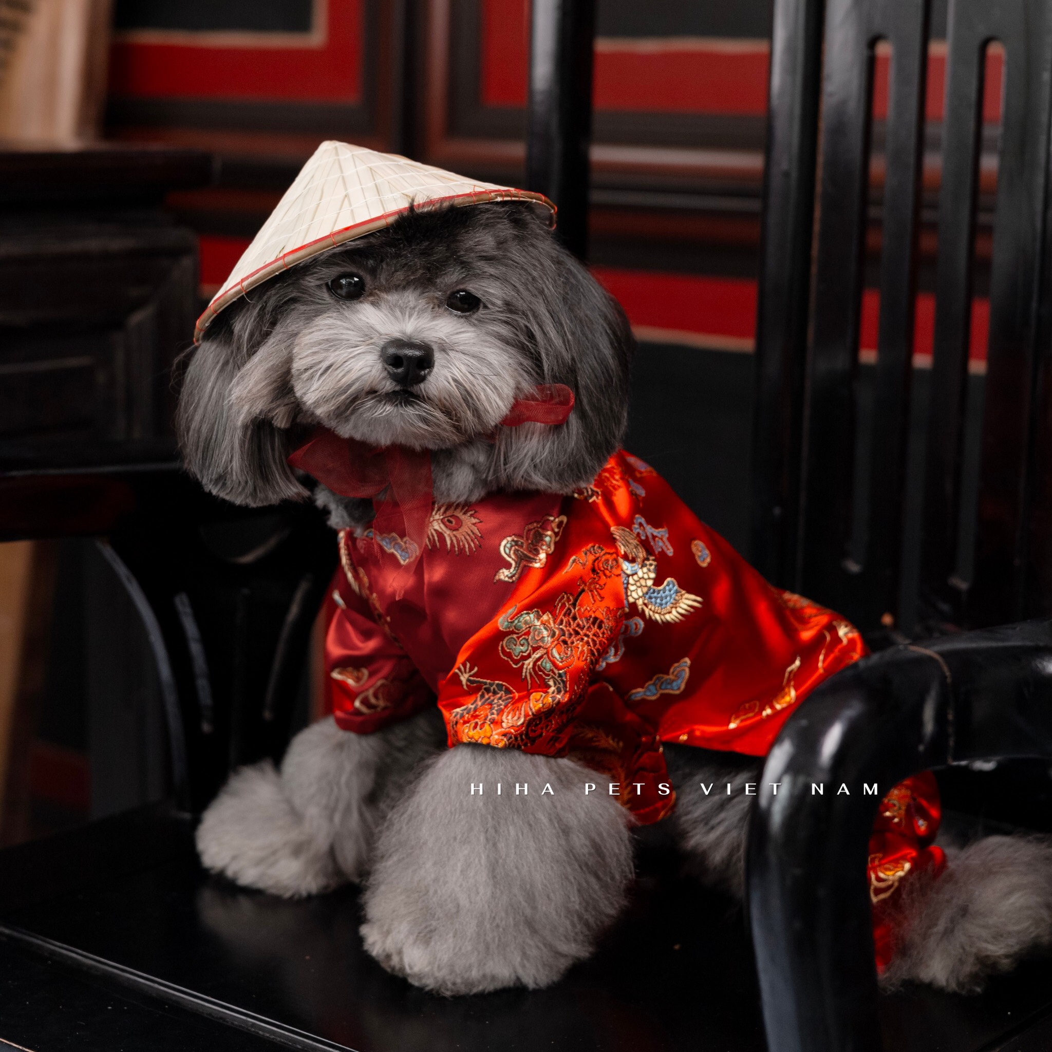 z5655581095757_6352f7eac977f9be31d967bdb1c5aefc