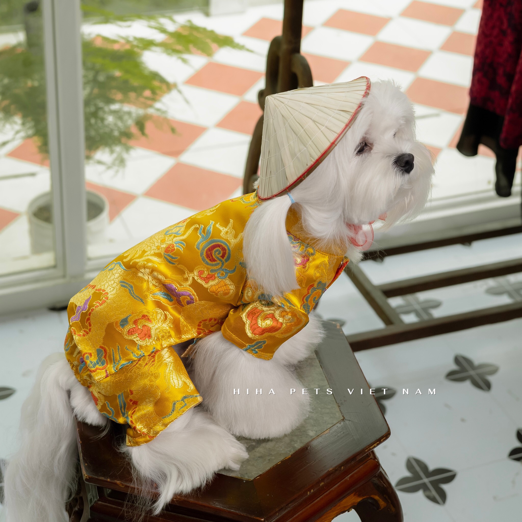 z5655581097562_11ce8b9c9c59cf449aa9d17164536bbd