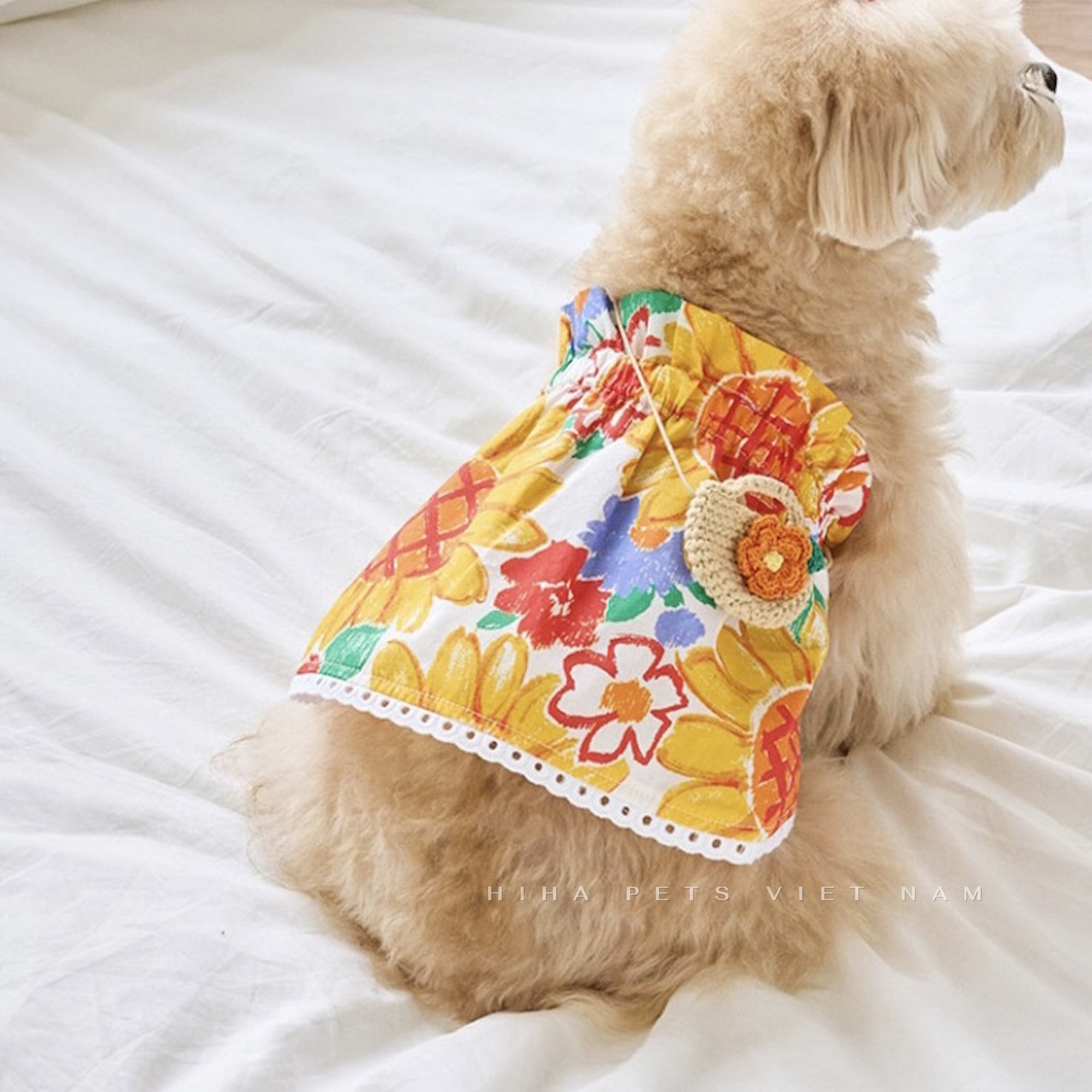 z5655585540533_9ec8e424a752f8b76aa50da3f22dca06