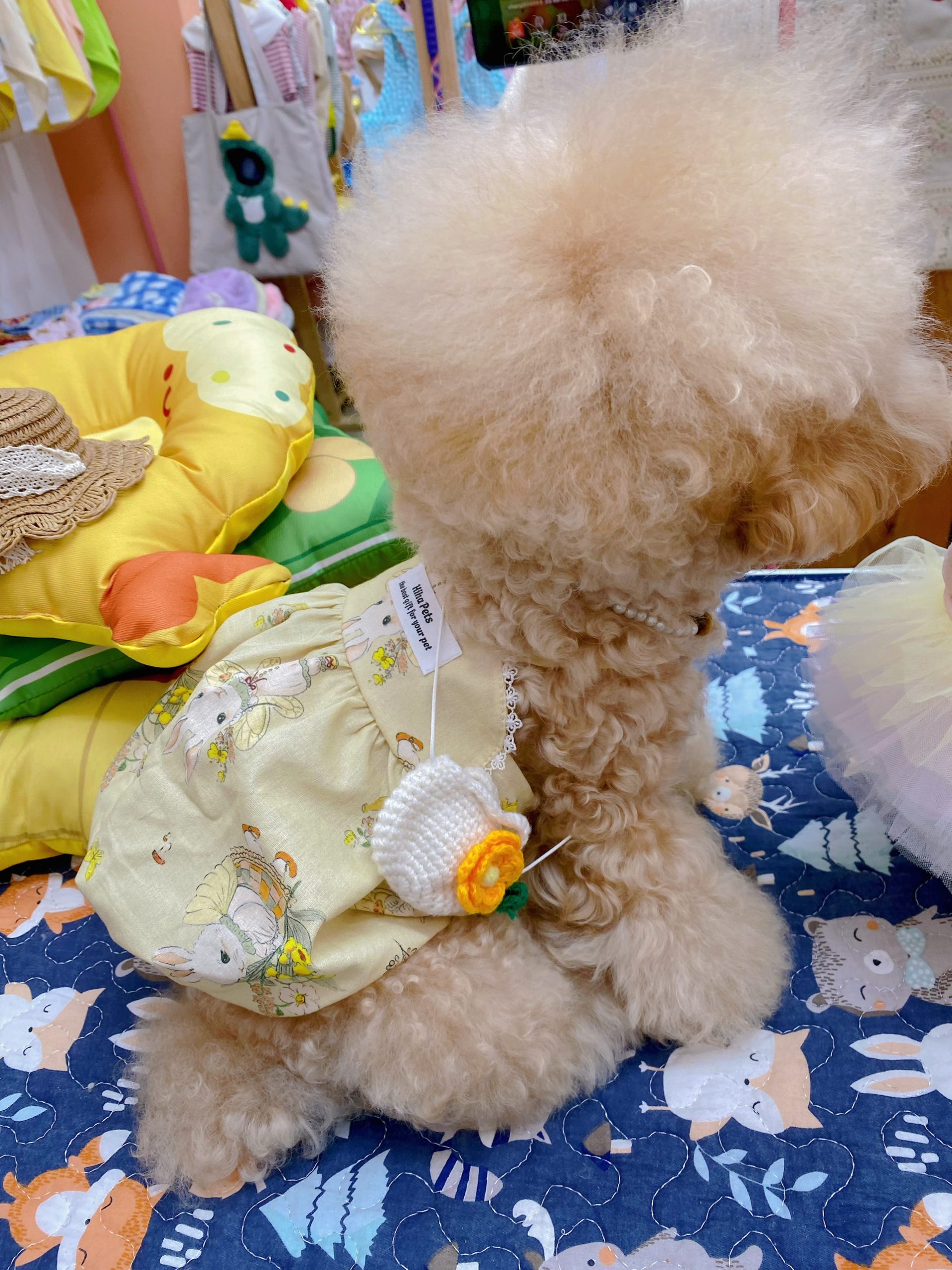 Túi Đeo Chéo Len Hoa Hiha Pets 2 z5655585597600 299107067f2a08c80f59e8f30a0992a4 scaled