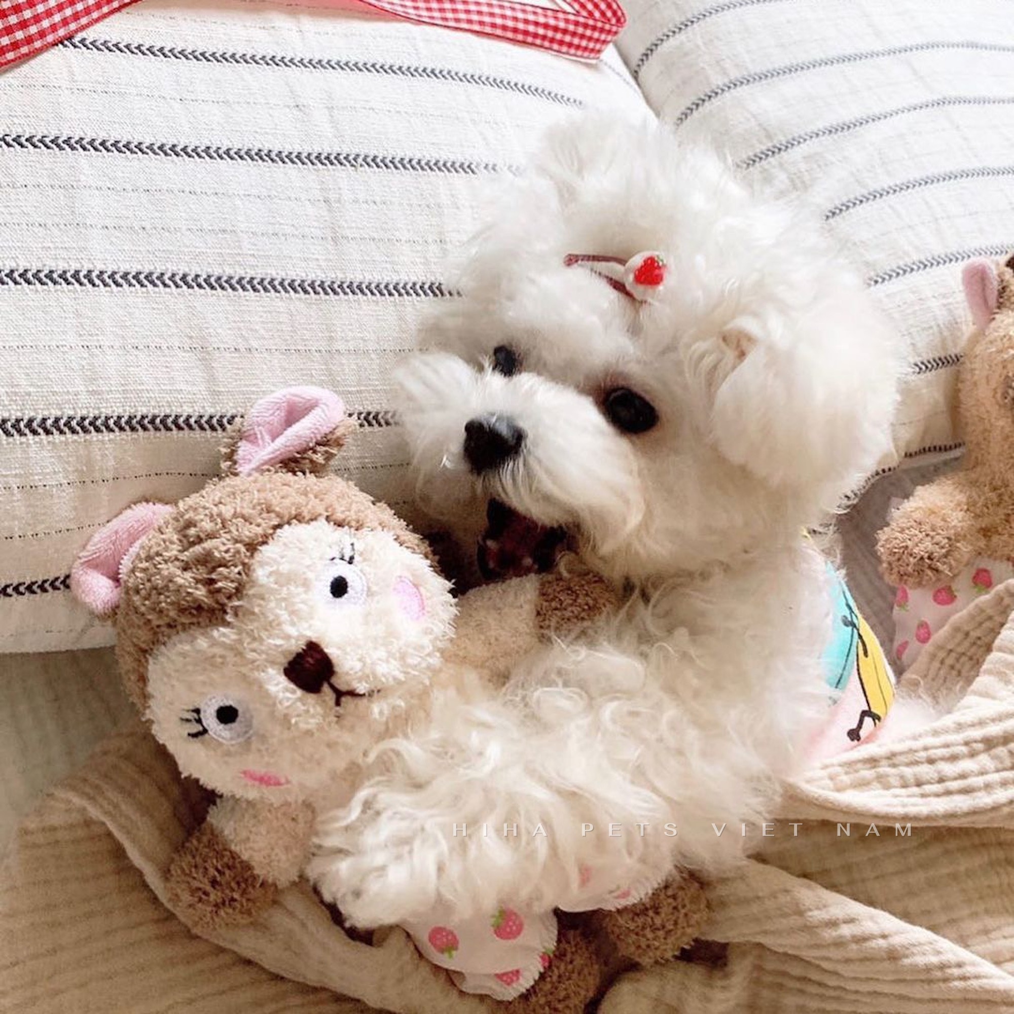 z5655588086698 2687dc1c4ad9a7f9194f8783735e572b