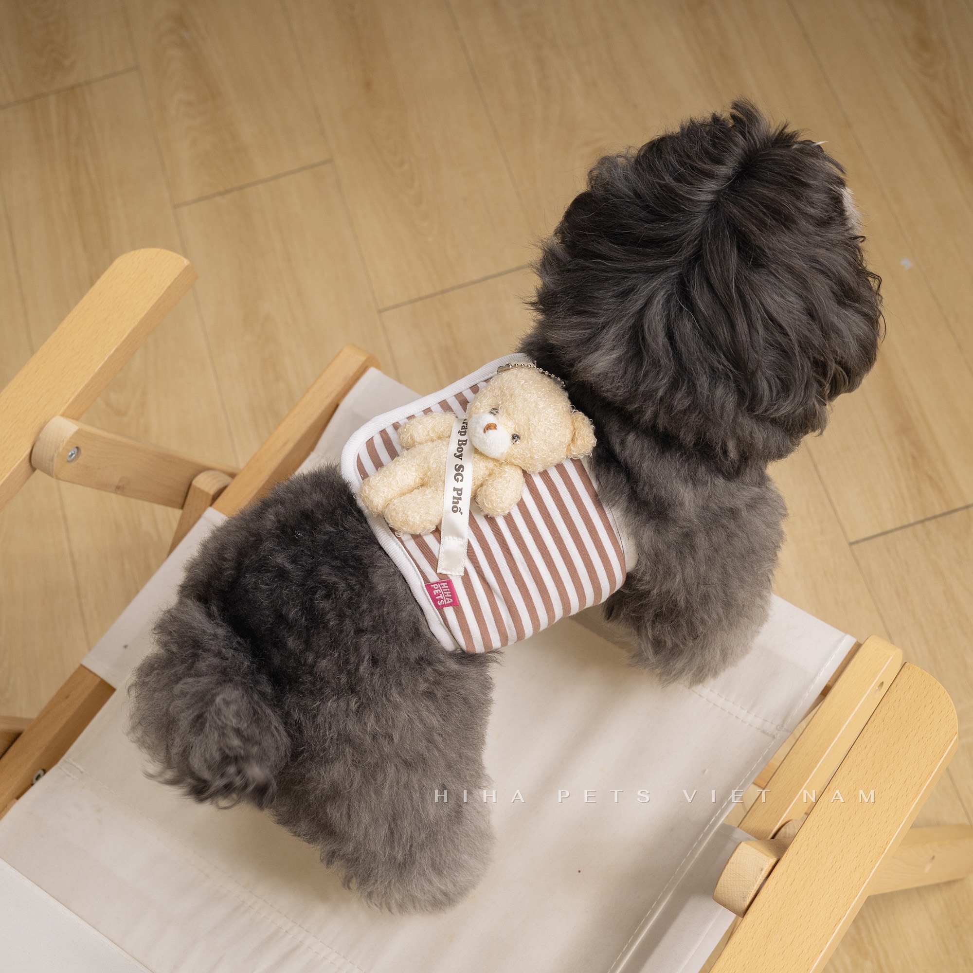 z5671203149369_53261d4030a9a5ff9fbc766beab78a53