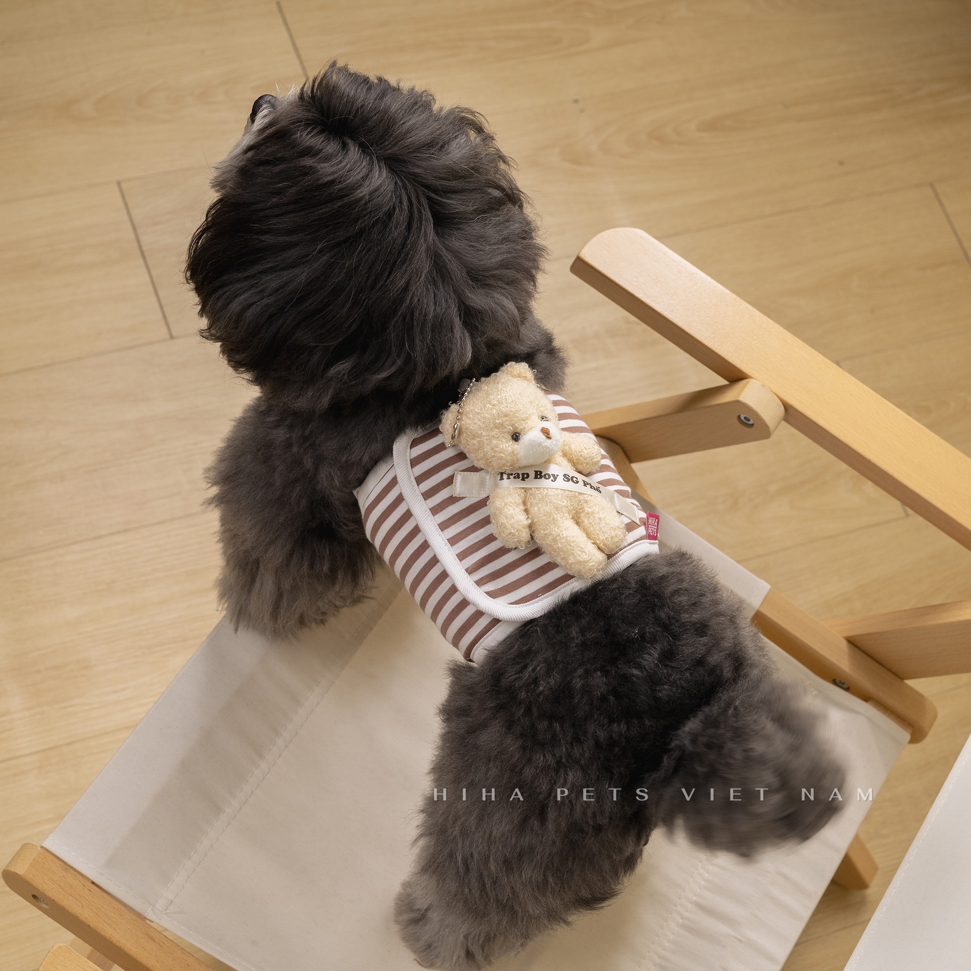 z5671203155507_9f53fd5e44a8eba93b7005ac611f0679