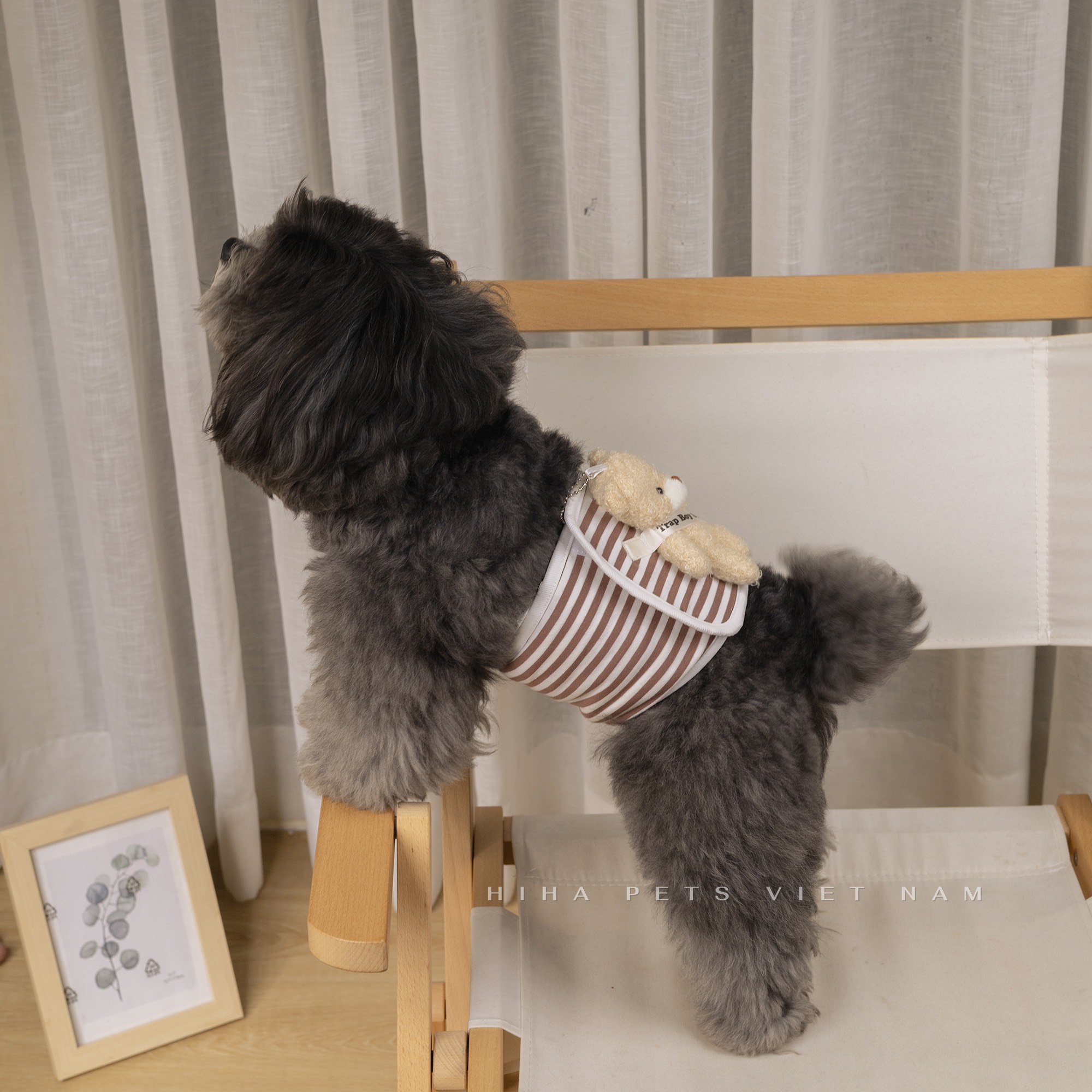 z5671203159823_91ab5b2ebb96ac1043a3ff1272dd42a4