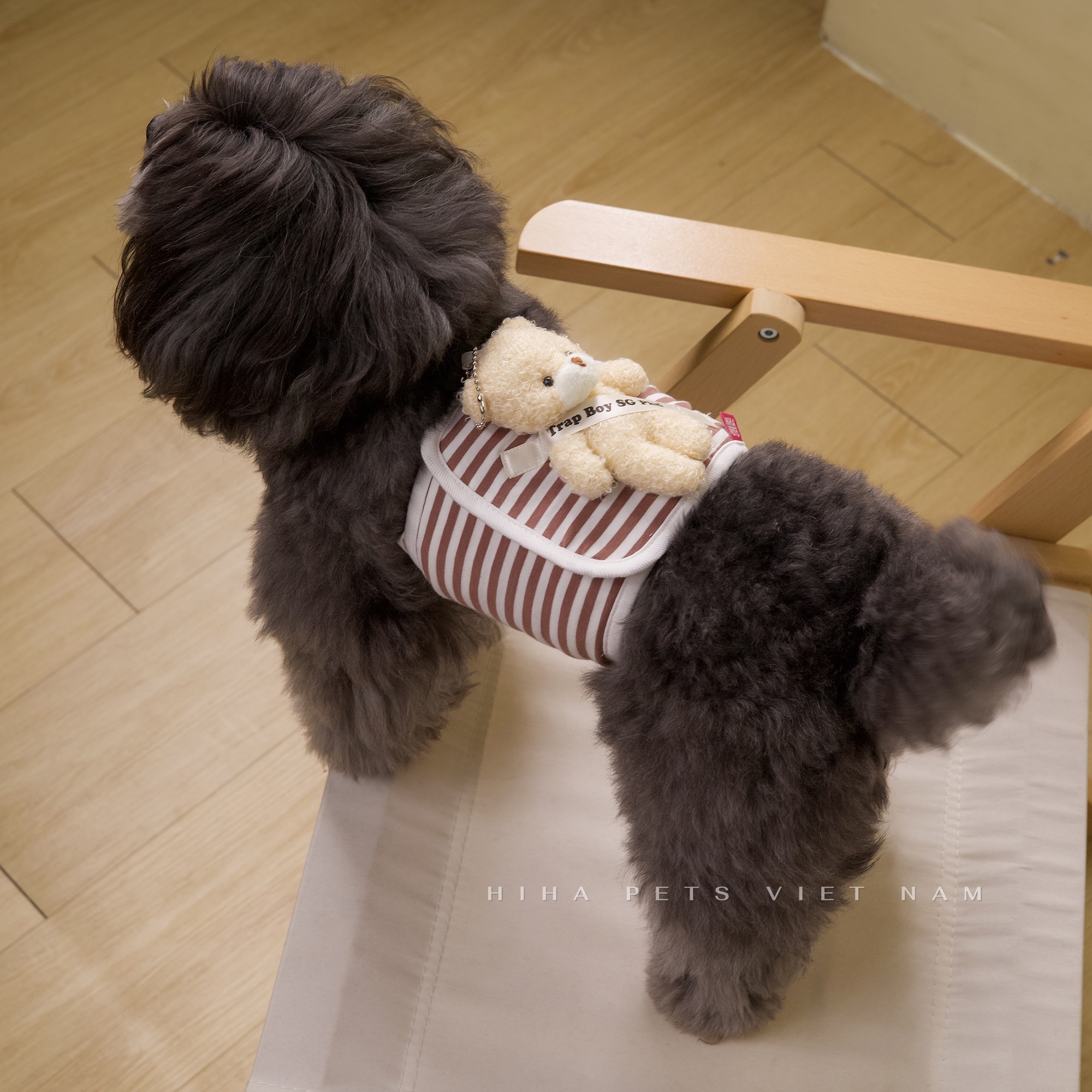 z5671203183309_69b58c274dbcb13db8316c28c4c6ce80