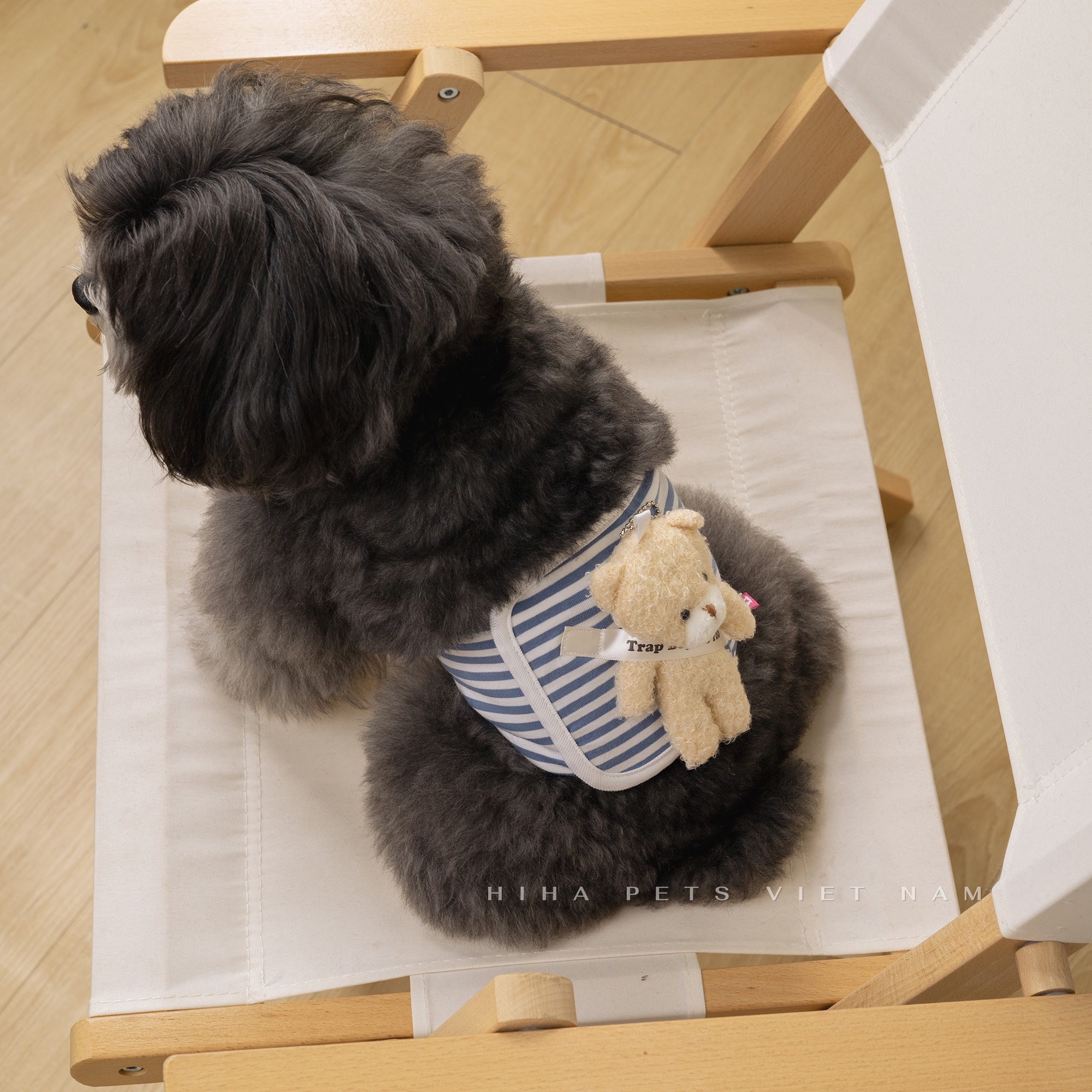 z5671203194021_54dc3ff9a2cc5e86ecdf1caf369acc74