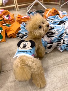 Bĩm Tã Vải Mickey Cho Cún Đực Hiha Pets 10 z5671203197753 8c020687eb69fdecb4265a6c0a4da9be